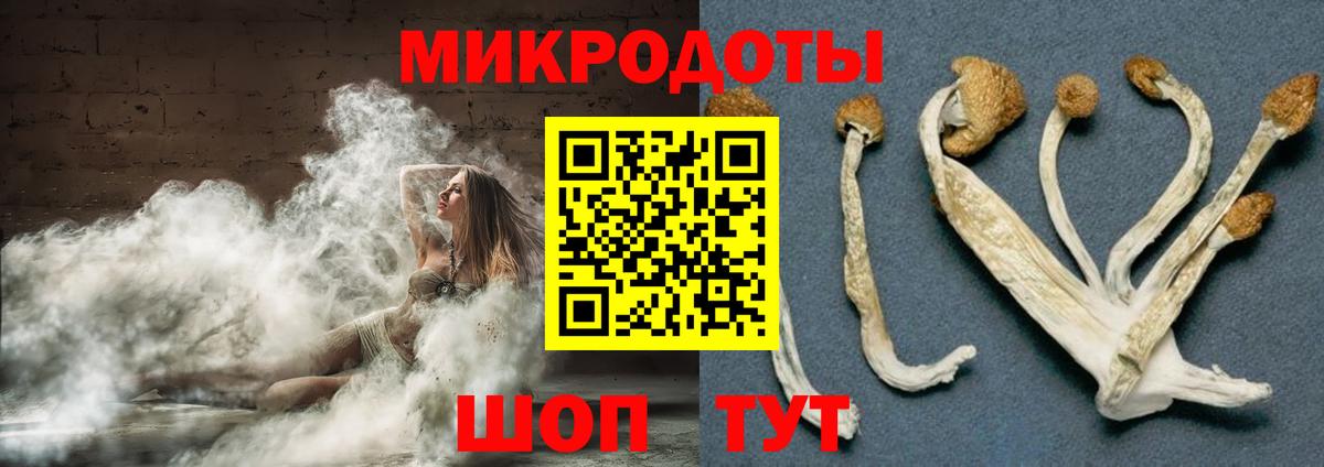 Людиново  Галлюциногенные грибы MAGIC MUSHROOMS  Вход с VPN 
