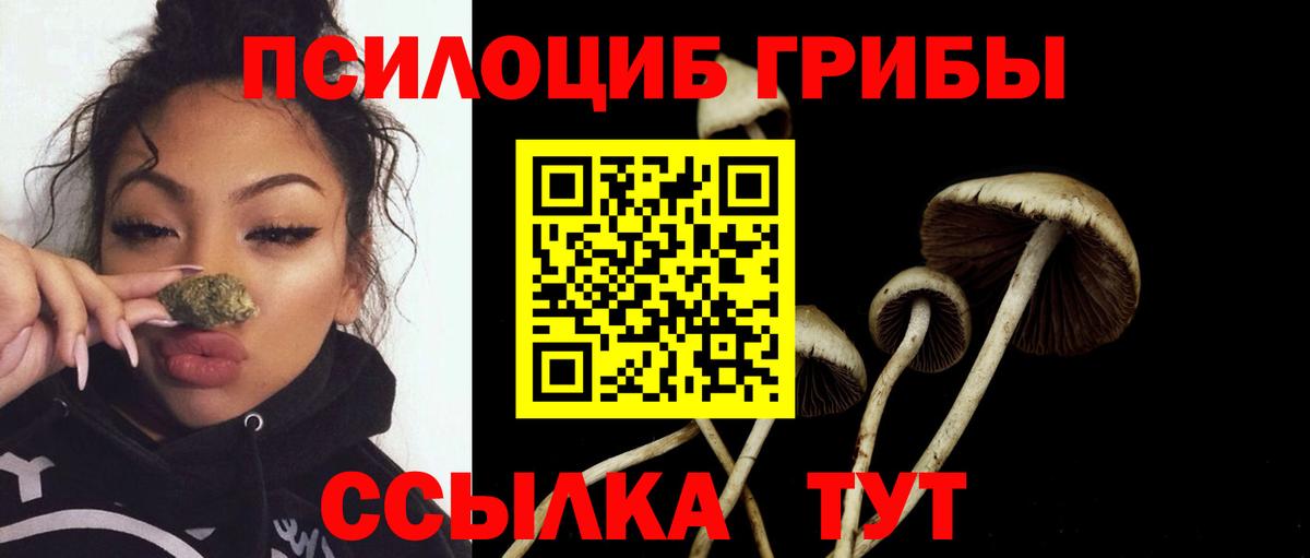 Псилоцибиновые грибы прущие грибы Людиново
